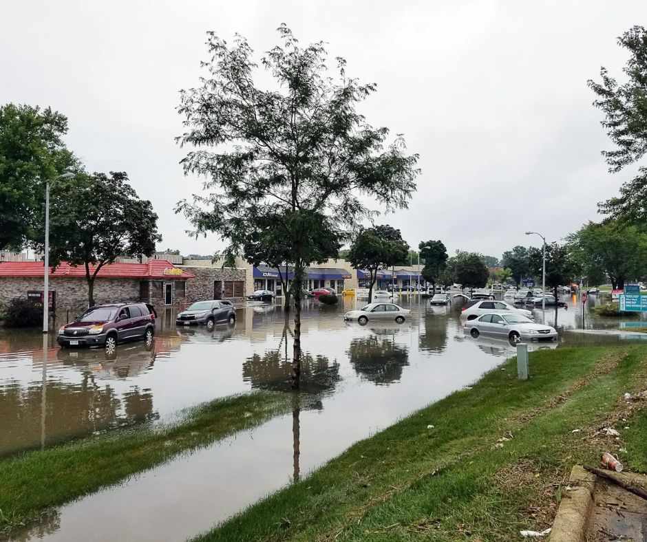 In the Wake of a Flood: How Flood Insurance Companies Handle Claims