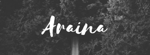 Chapter: 03