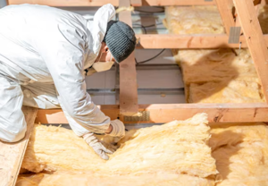 What Is Pest Resistant Insulation And Rodent Proof Insulation Benefits