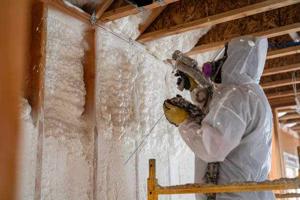 A Straight Answer On Rat Proof Insulation (And Where Squirrels Fit In)