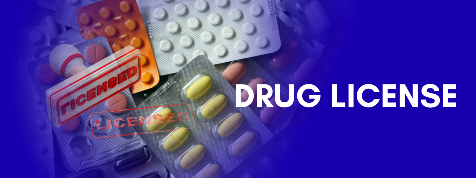 Drug License Delays: Is the System Broken or Just Slow?