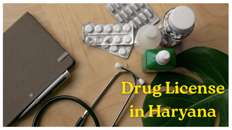 Drug License in Haryana: Complete Process, Documents & Fees (2025)