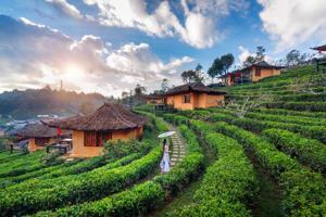 Which Is the Nearest Railway Station to Munnar? Is There a Railway Station in Idukki