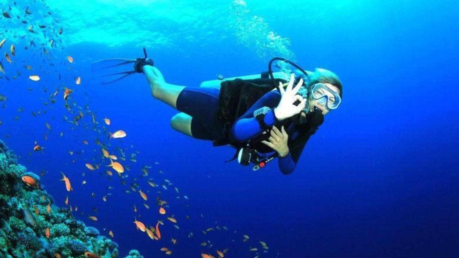 Andaman Scuba Diving: Must-Visit Sites for Adventure Lovers