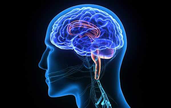Best Neurologist in Gurgaon | Fortis Healthcare