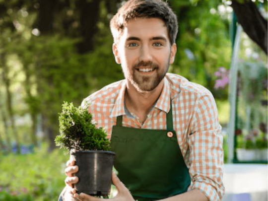 Looking for the Best Landscapers in Canberra for Retaining Walls?