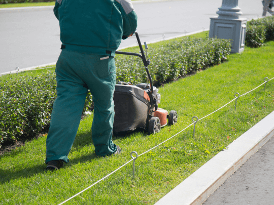 How to Choose the Best Landscaping Service in Canberra?
