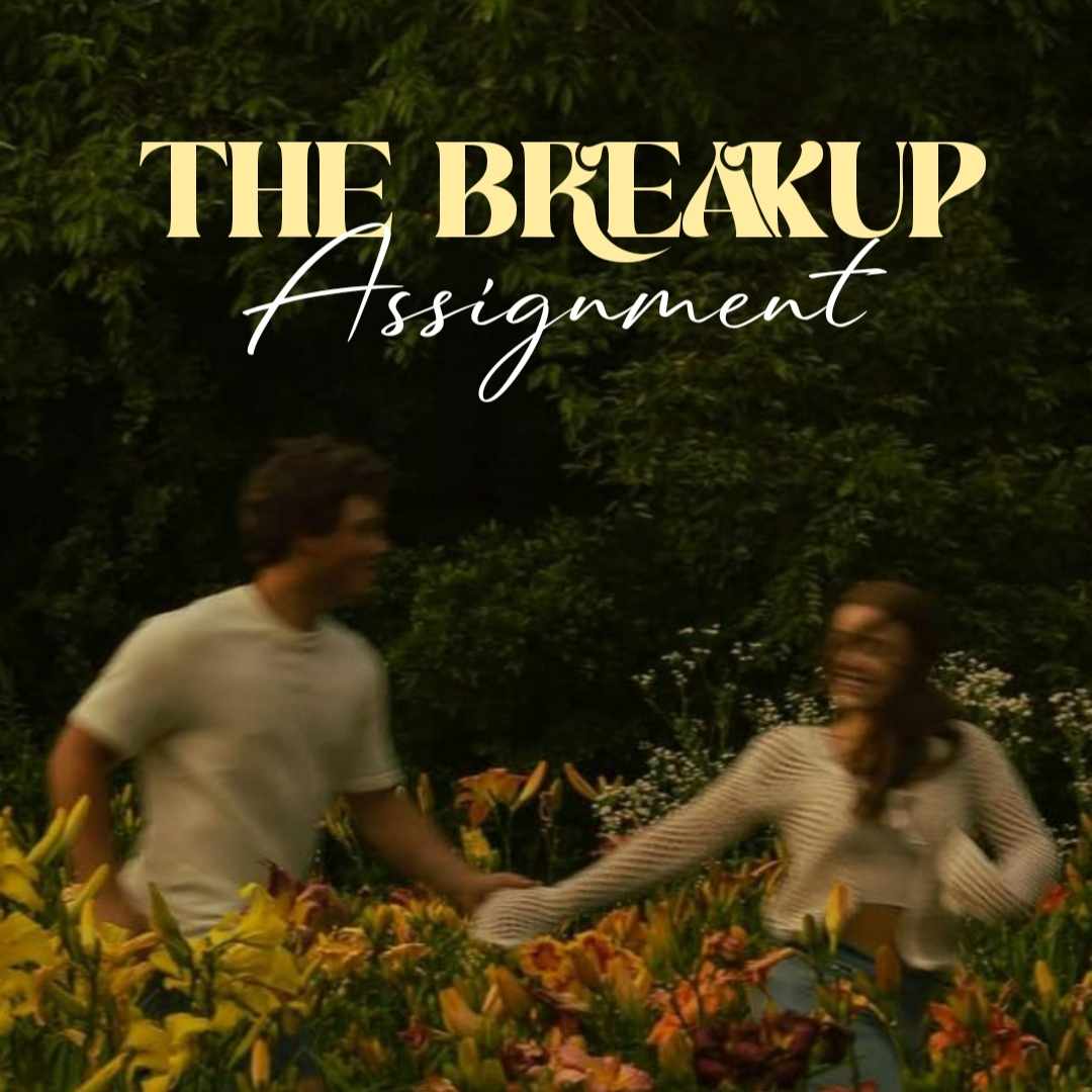 The Breakup Assignment💫