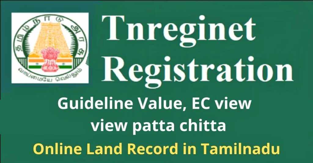 Future Trends and tnreginet’s Vision