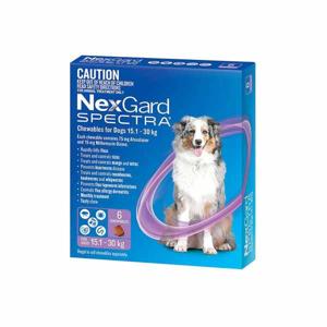 The Benefits of Using Nexgard Spectra Small Dog