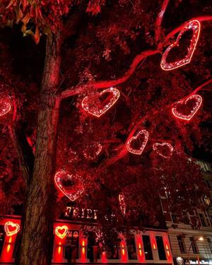 Part 8 — The Slow Unraveling