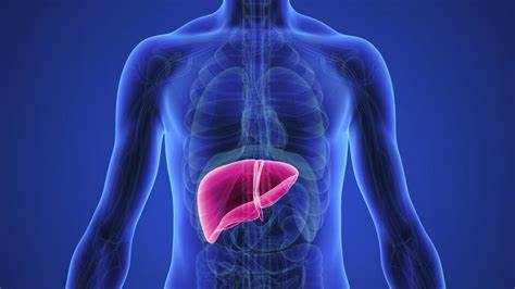 The Role of Medication in Wilson's Disease Treatment