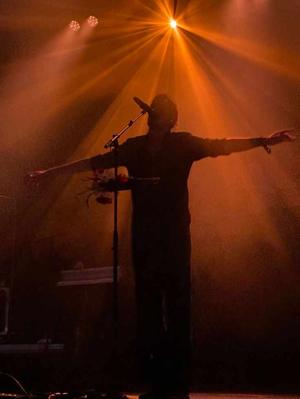 Chapter 72 . The protector