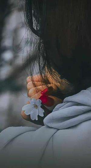 Chapter 7 . New friendship