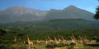 Arusha National Park – Safari Guide