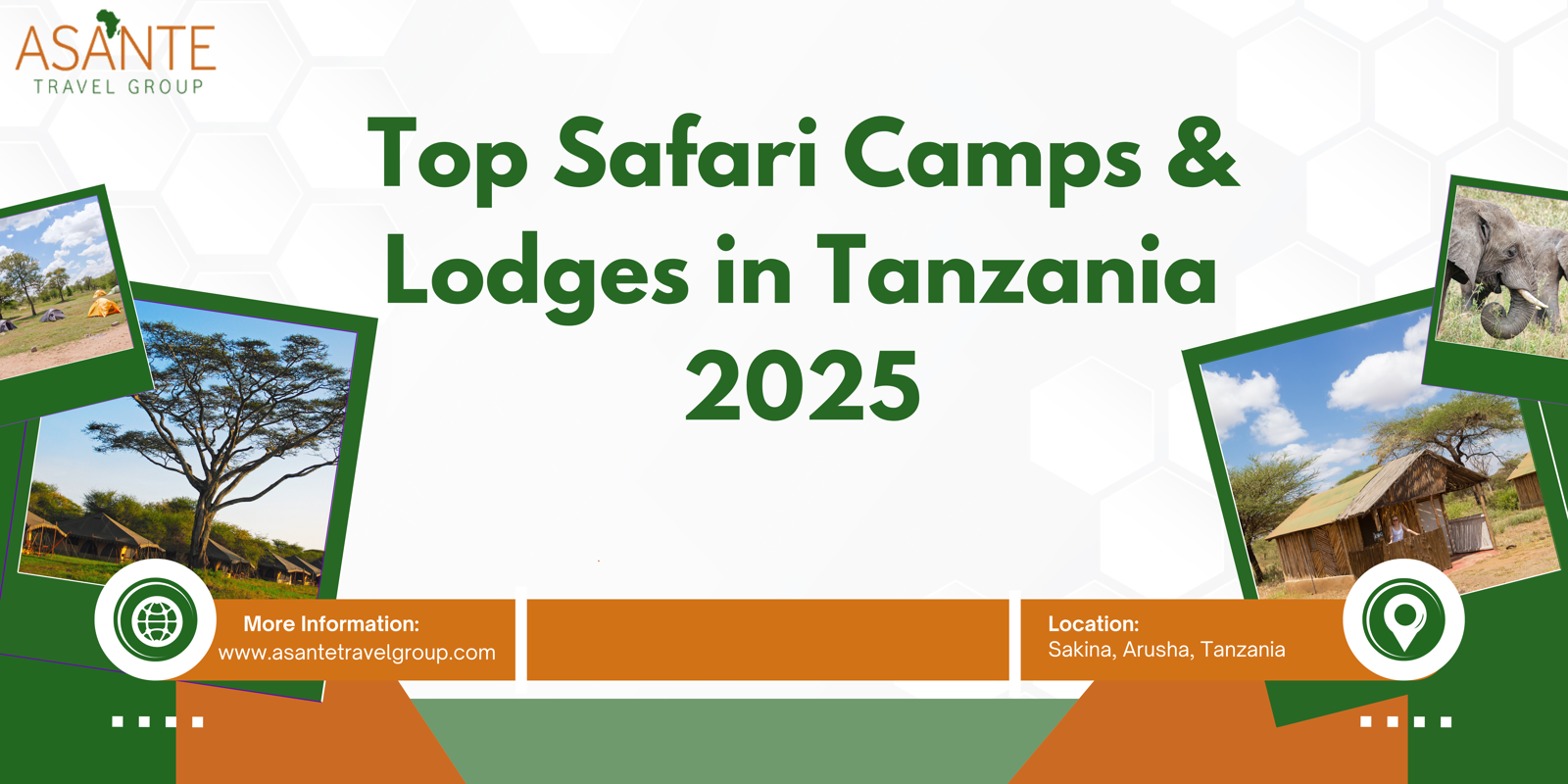 Top Safari Camps & Lodges in Tanzania 2025
