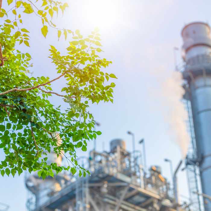 Energy And Carbon Management | Tomsonconsulting.co.uk