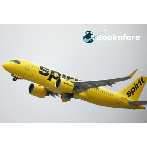 Spirit Airlines Reservations – Book Affordable Flights Online!