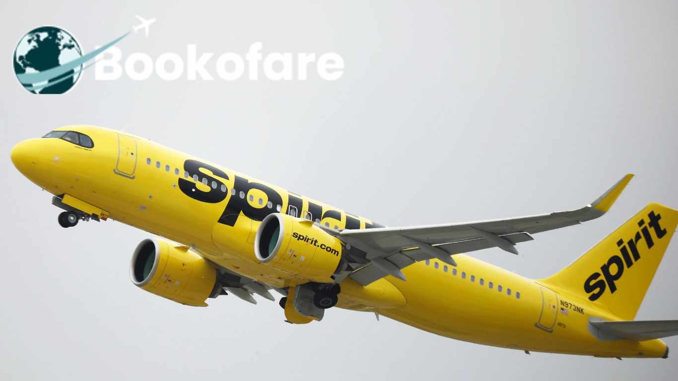 Spirit Airlines Reservations – Book Your Flight at the Best Price!