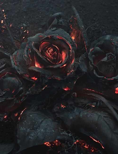 BDSM Romance