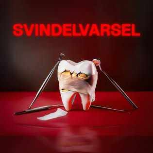 Victoria Fosse - Finansanalytiker, entreprenør og innovativ rådgiver innen verdiskaping