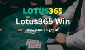 Lotus365 Win: The Ultimate Platform for Sports and Casino Betting