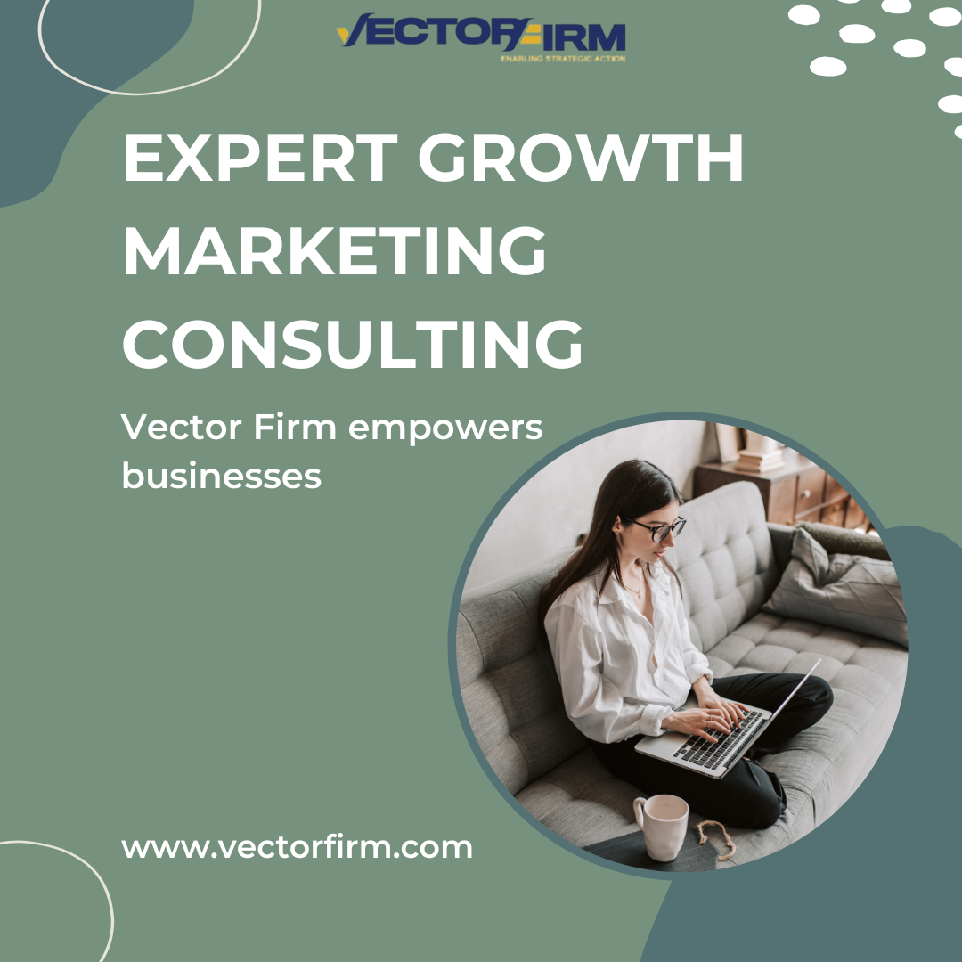 Professional Growth Marketing Consulting Services | Vector Firm