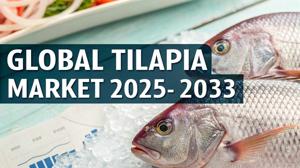Tilapia Market Size, Share, Trends Analysis, and Forecast Report 2025-2033
