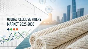 Cellulose Fibers Market Size, Share, Growth Opportunity and Forecast Report 2025-2033