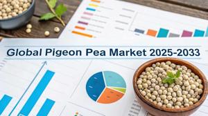 Pigeon Pea Market Share, Global Size, Growth Analysis, and Forecast 2025-2033