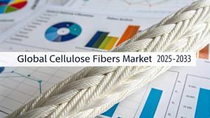 Cellulose Fibers Market Trends, Share, Growth Opportunities, and Forecast 2025-2033