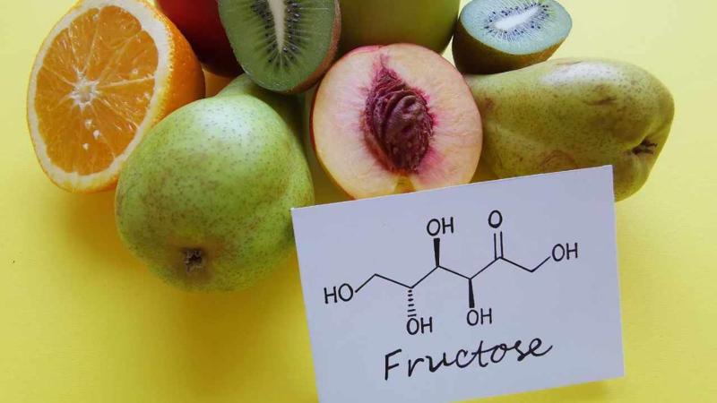 Fructose Market Size, Share, Industry Insights, and Report 2025-2033