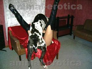 Mere sasur or dog ne chudai ki