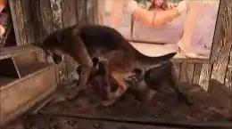 Rape by my dog
