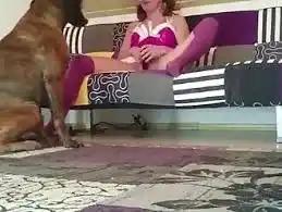 my mom fucking her dog, and then I fucked her back
