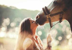 How i become Horse sluts