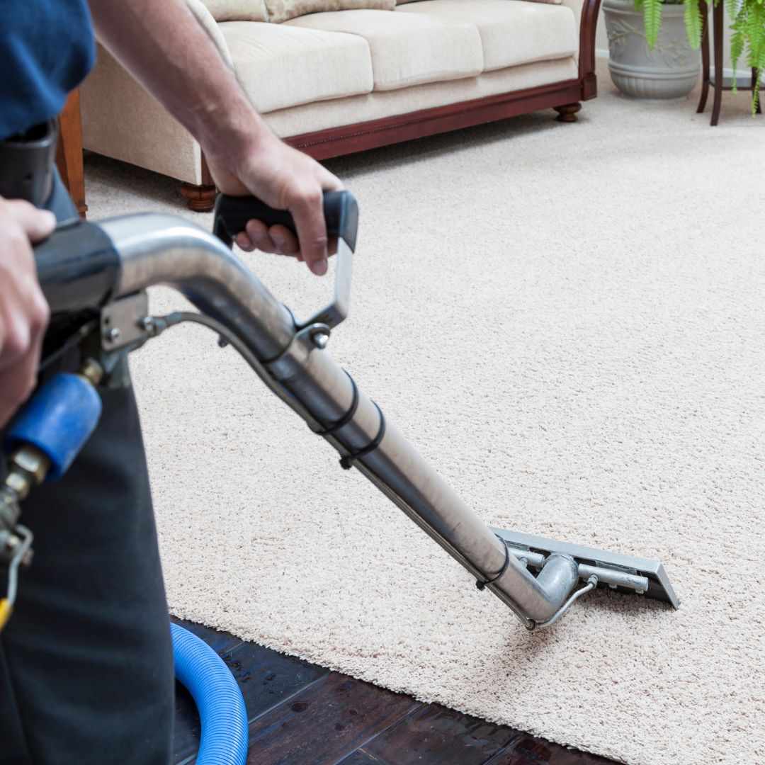 The Hidden Impact of Professional Carpet Cleaning on Honolulu Workspaces