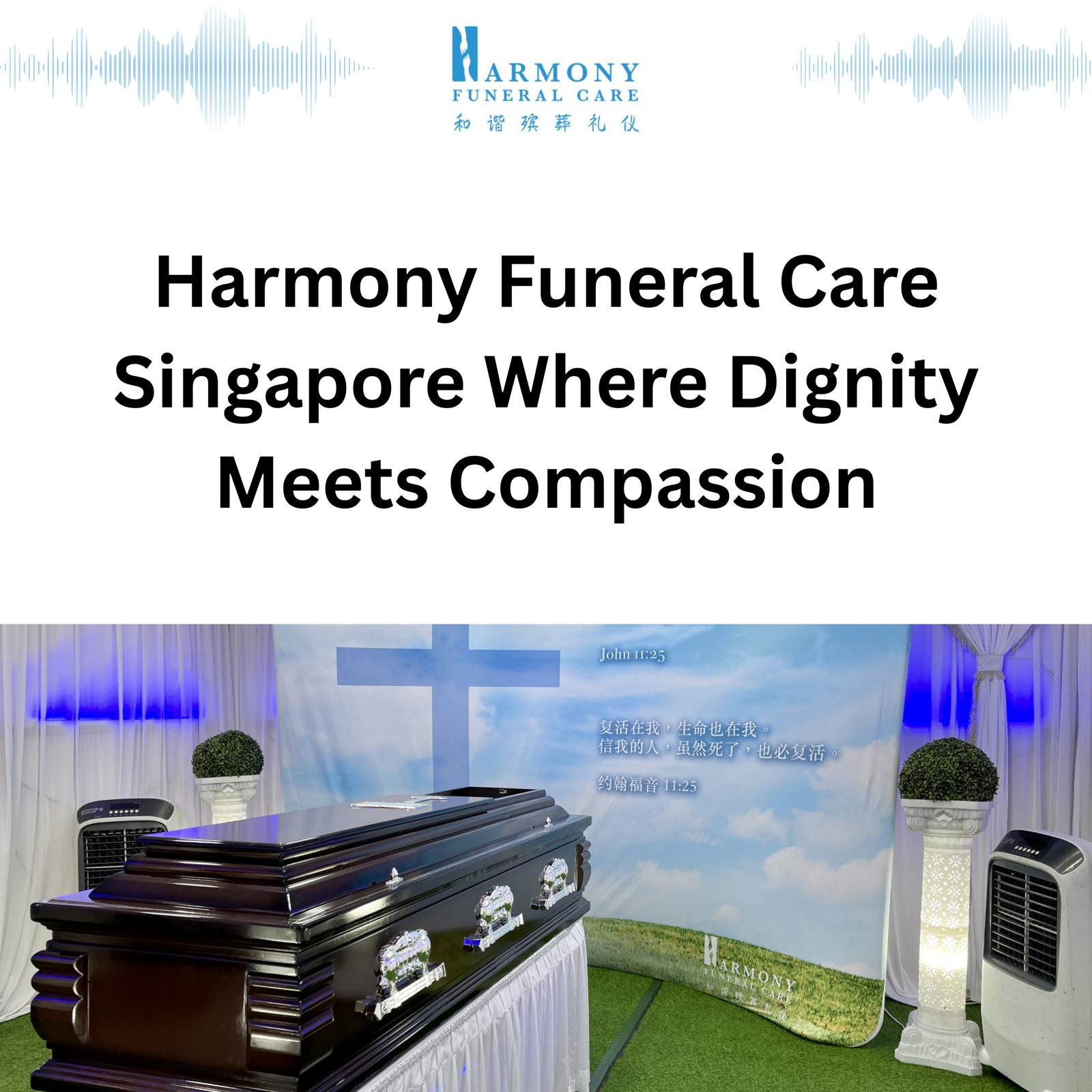 Harmony Funeral Care Singapore Where Dignity Meets Compassion