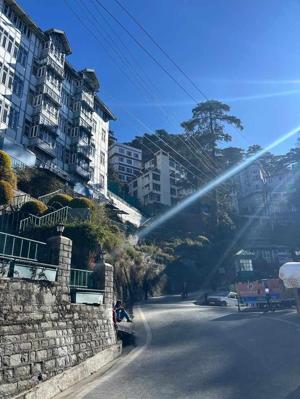 22. Shimla?
