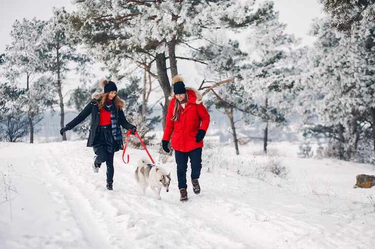8 Expert Tips to Prepare for a Winter Trek