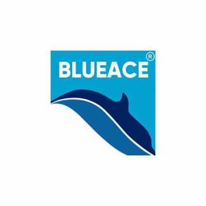 Blueace India Limited logo