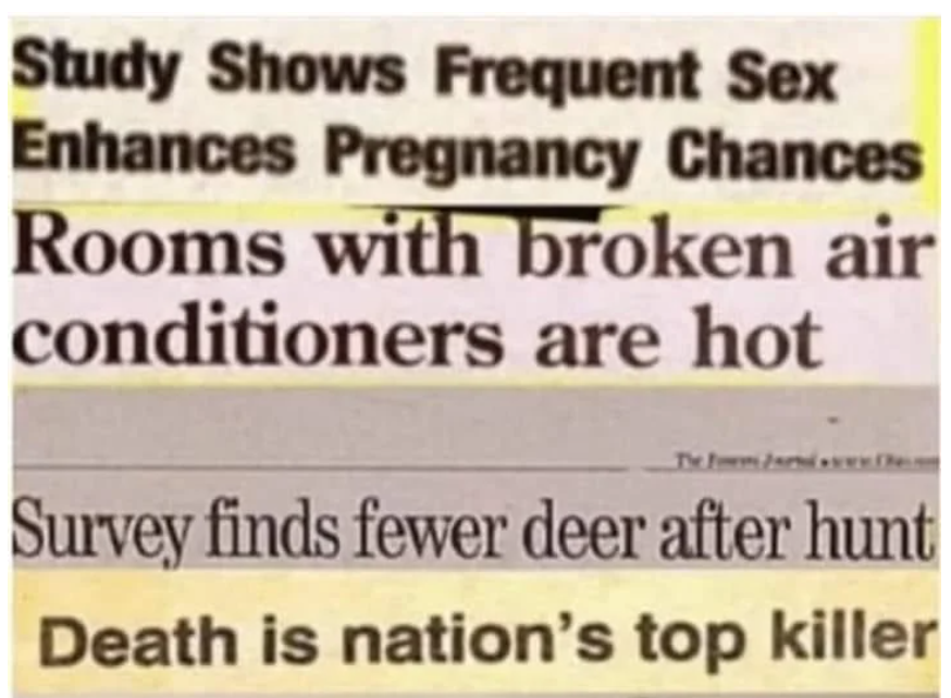 Searching for correlations ... between animals and cities?