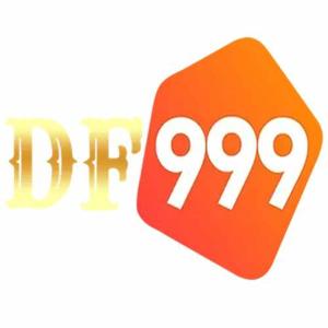 df999net1 logo