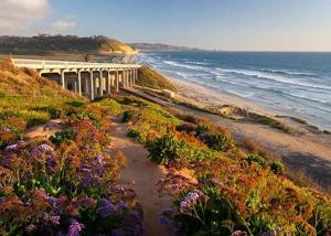 Expert Psychiatric Care in Encinitas and Carlsbad, CA: Supporting Mental Health with Compassion and