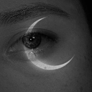 lunaria_.angelic logo