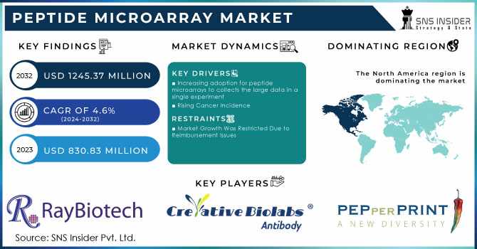 Peptide Microarray Market: Advancements in Personalized Medicine