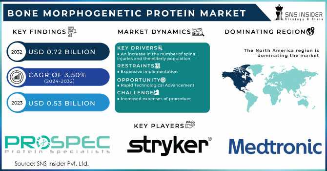 Bone Morphogenetic Protein Market Forecast: 2024-2032 Insights