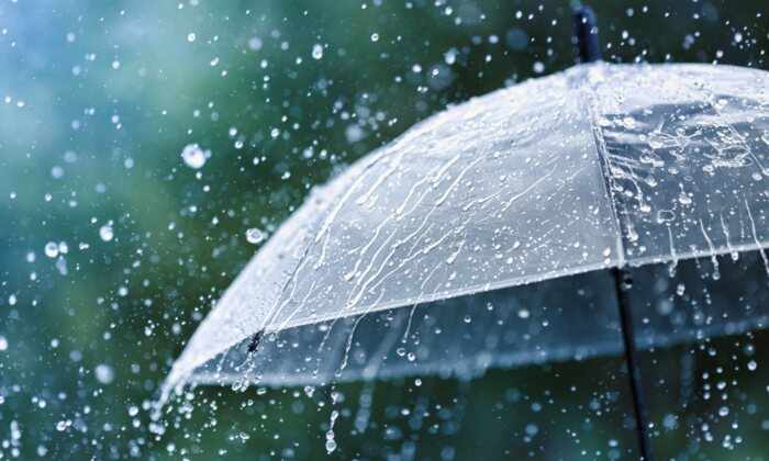 How can umbrella companies promote the idea of durability?