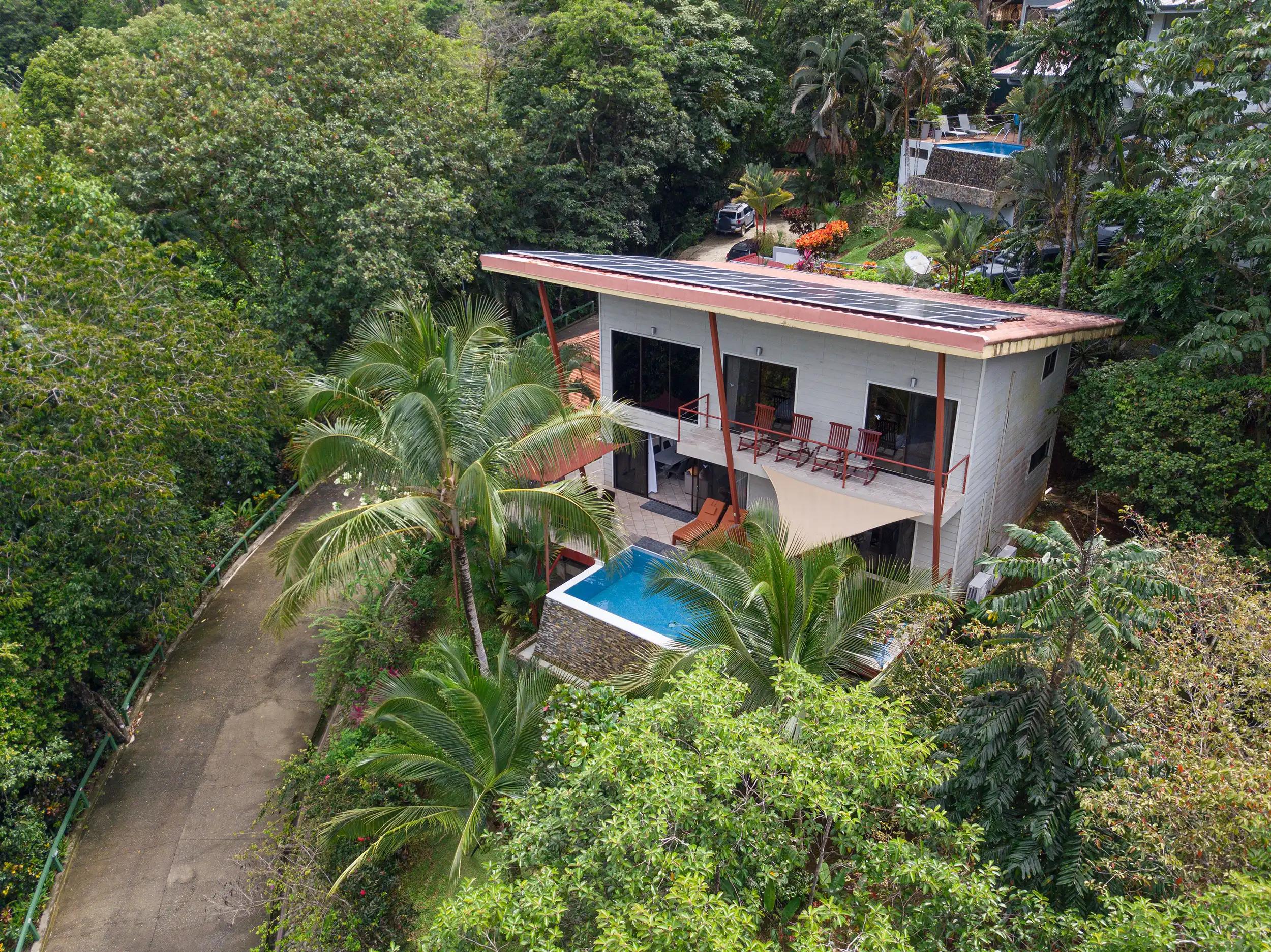 Reset in the Rainforest: A Journey to Digital Freedom