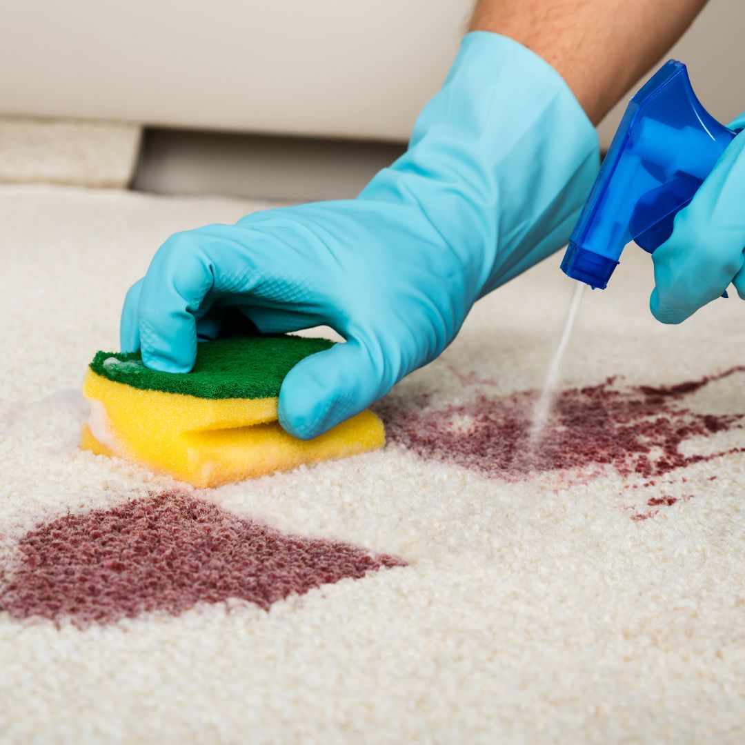 How to Handle Spilled Wine or Muddy Footprints in SW6 Home Carpets?